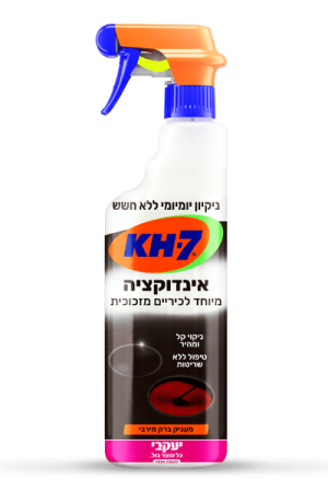 KH 7 אינדוקציה